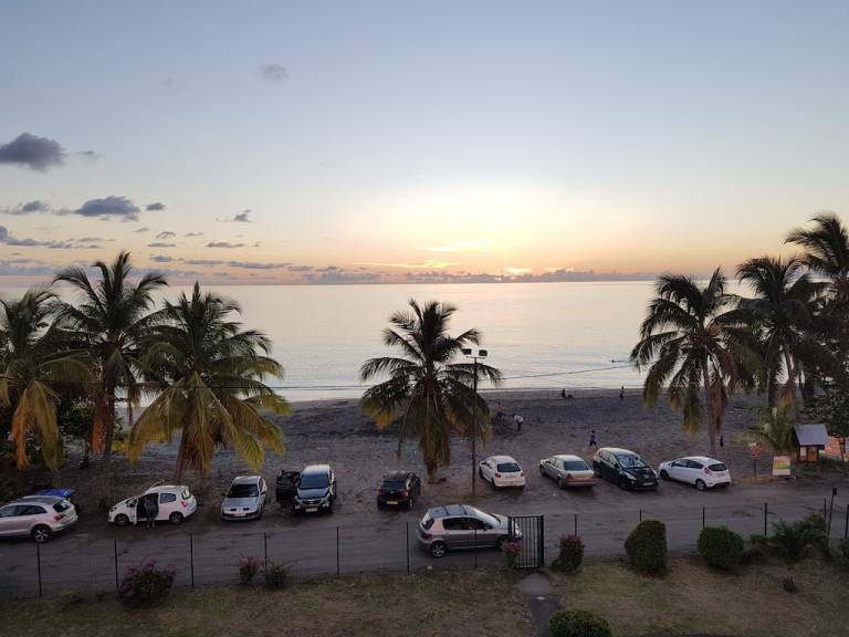 Apartment Case-Pilote