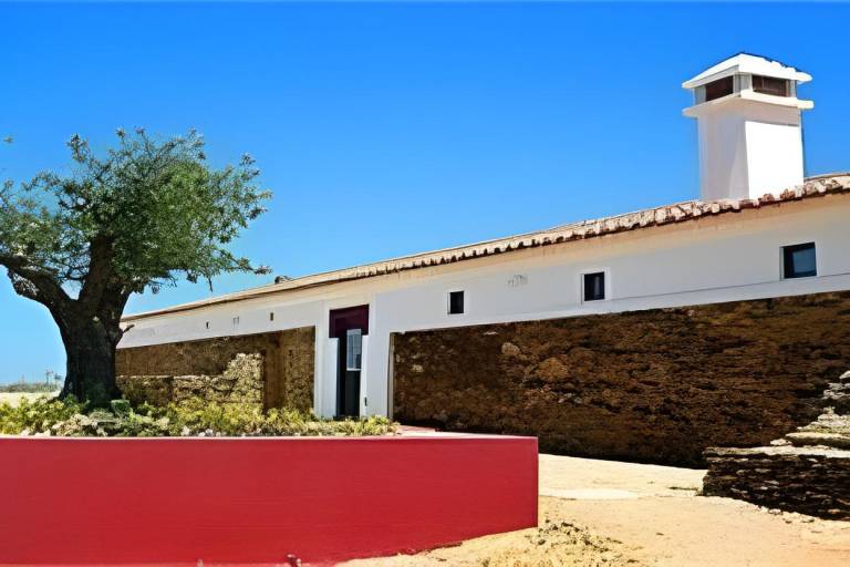 Villa with barbecue, pool & terrace in Beja