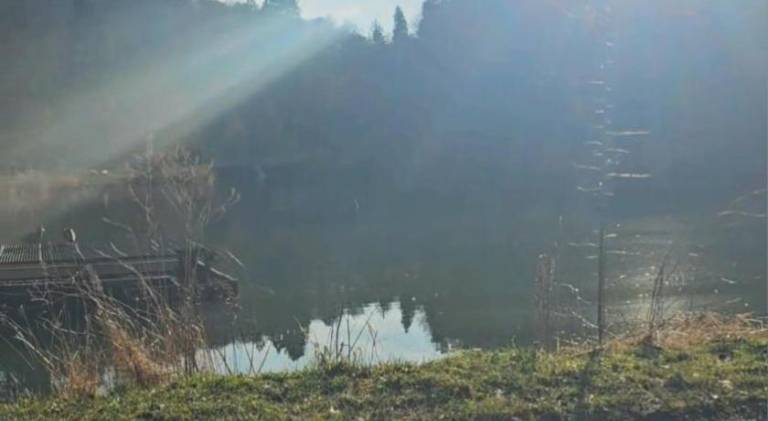 foto6