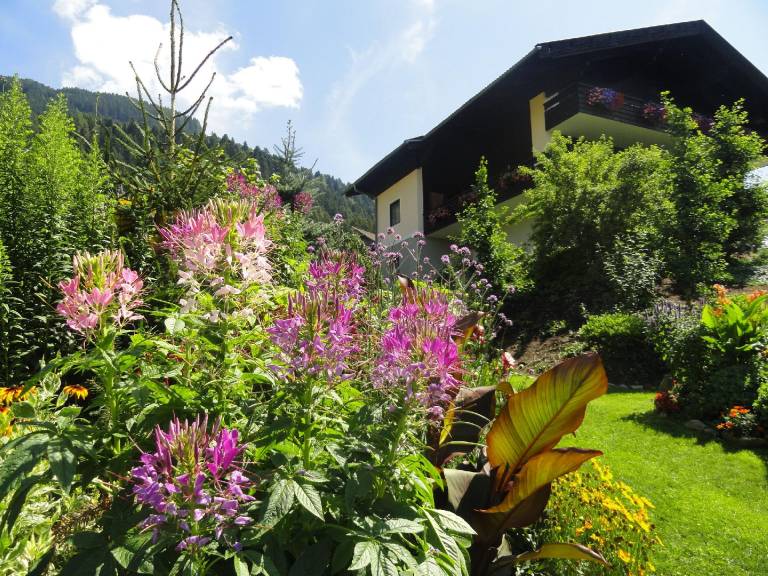 foto10