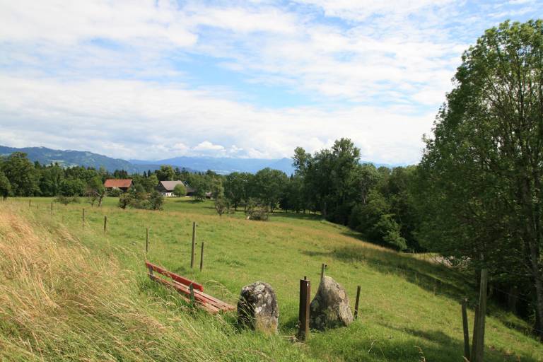 foto16