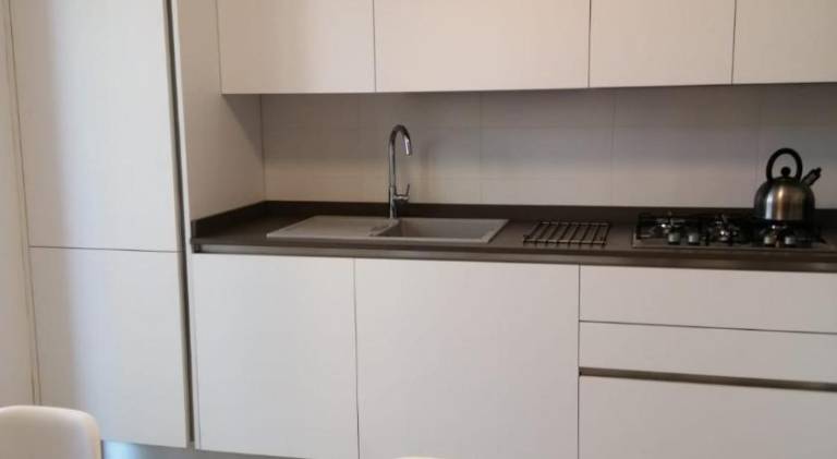 Ample rental apartment | Pets are welcome — photo 4