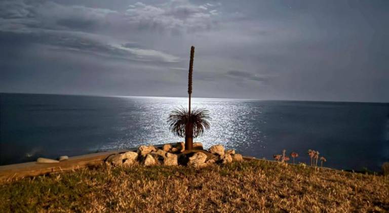 foto40