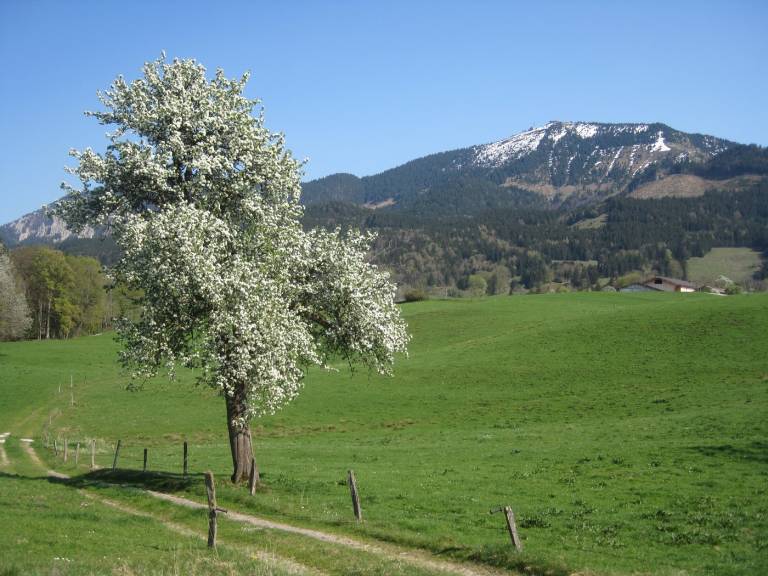 foto16