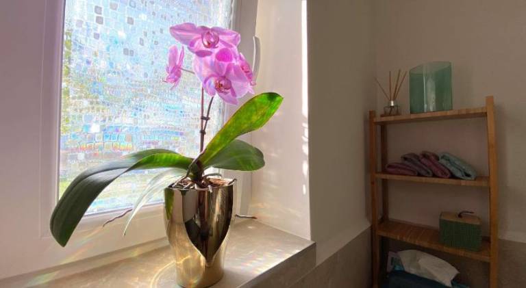 foto29