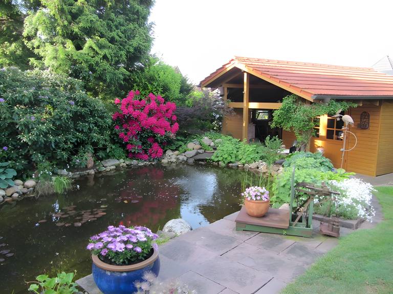 foto8