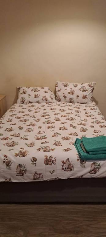 foto1