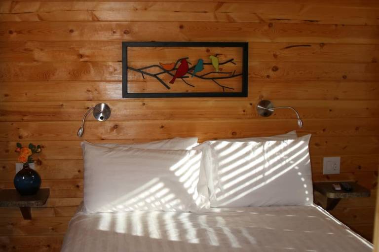 foto12