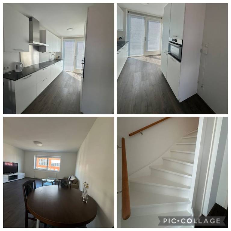 foto16
