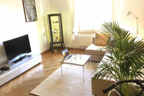 foto15