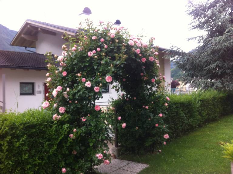 foto10