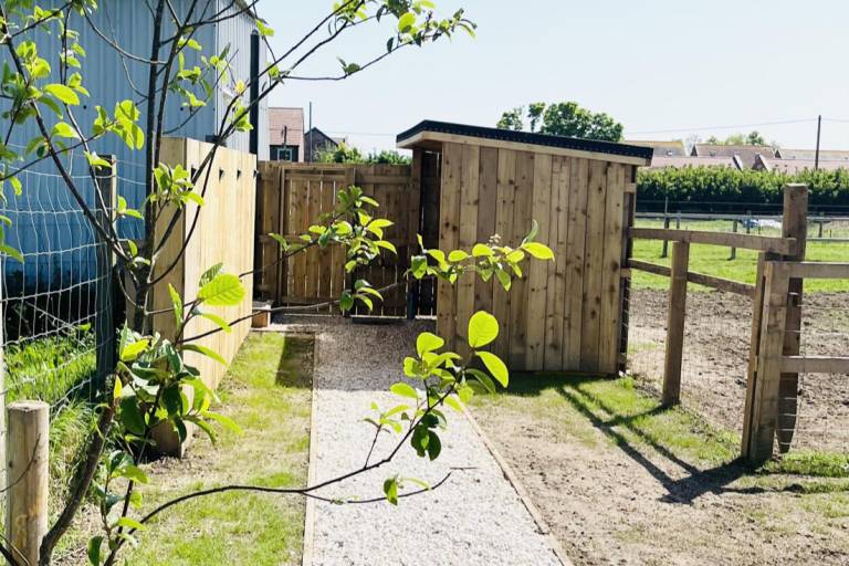 Solo Glamping Pod Sleeps 4 Northumberland