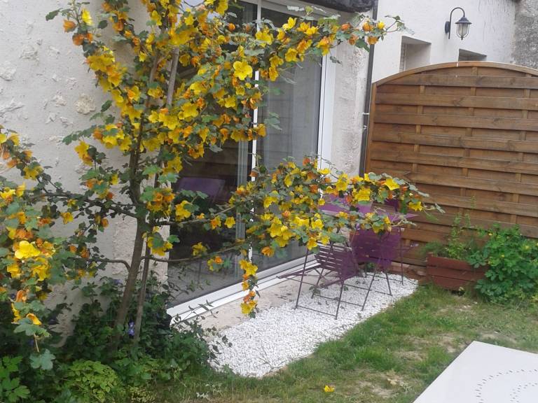 Charming Cottage Near Loire Castles: Cozy Living, Pet-Friendly, Wi-Fi, Outdoor Area — photo 4