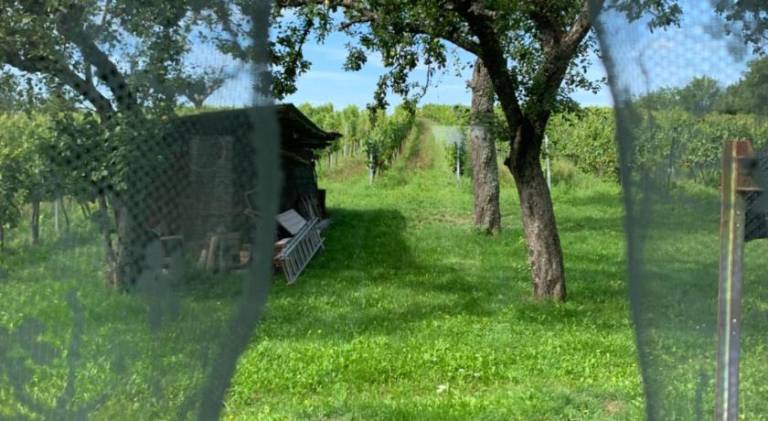foto19