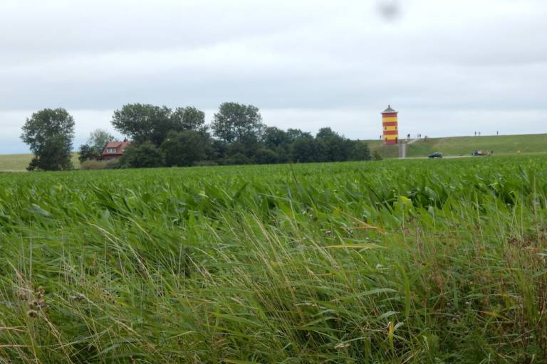 foto36
