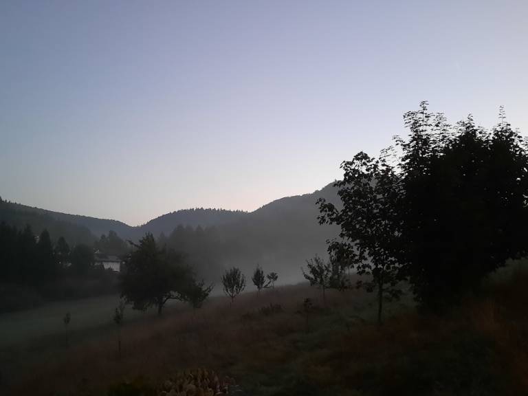 foto19