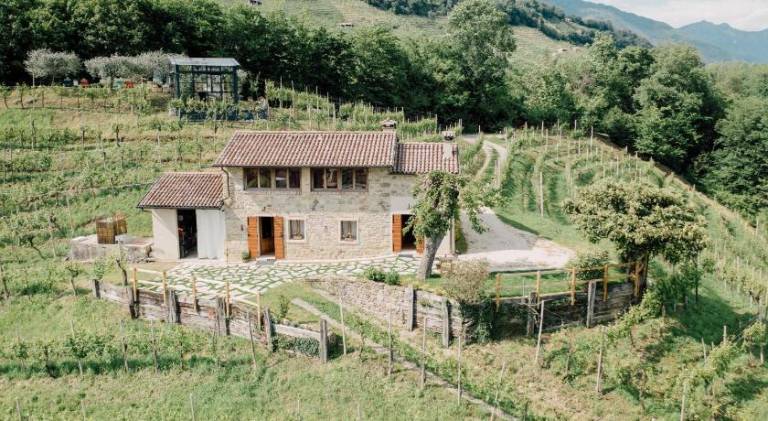 Vacation home | Pets are welcome in Treviso