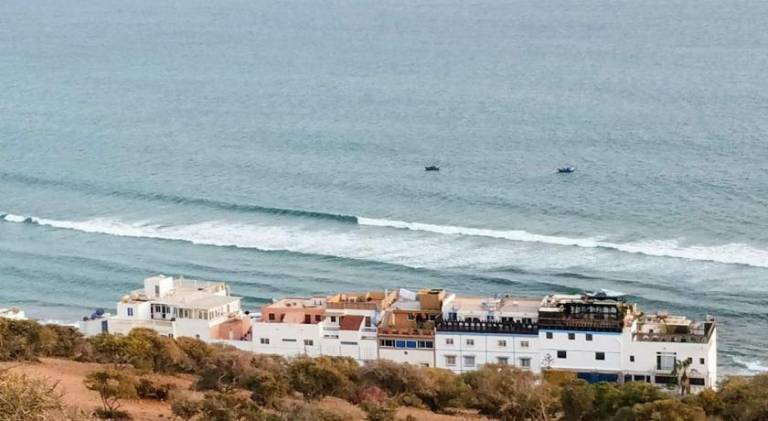 Surf & Skate — photo 4