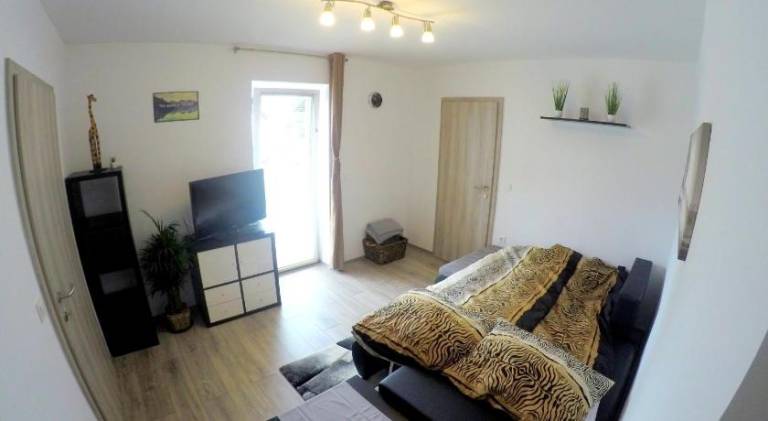 The Jungle Apartments and Rooms (Vila Dzungla) — photo 2