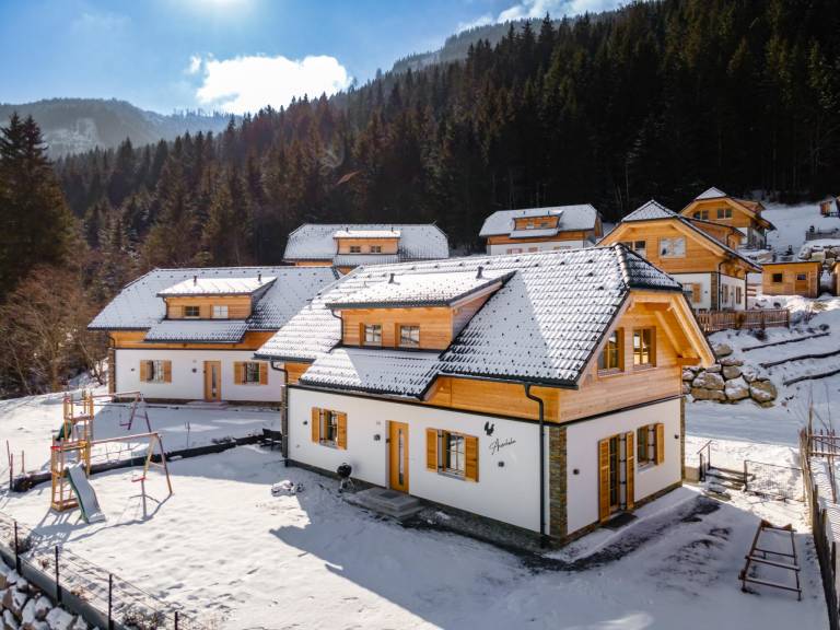 Chalet  Donnersbachwald