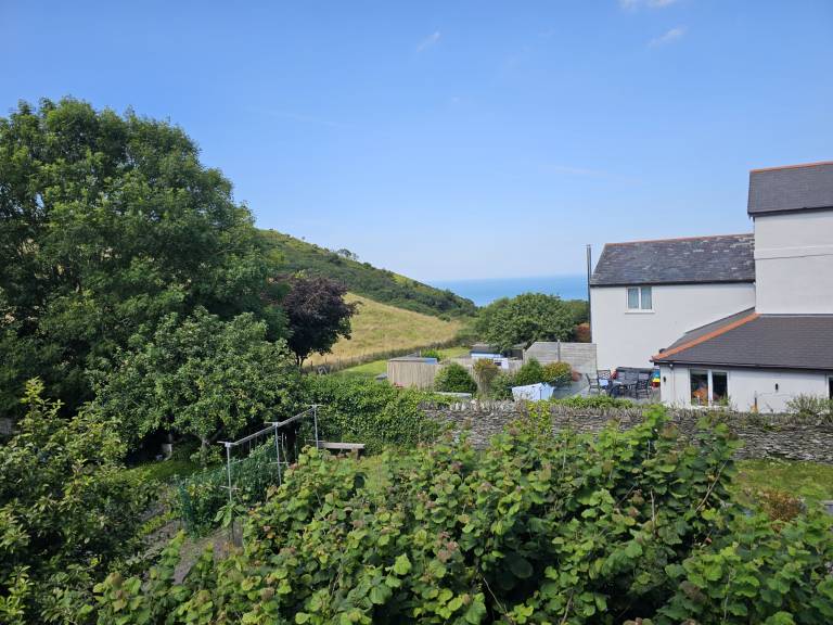 Apartment  Ilfracombe