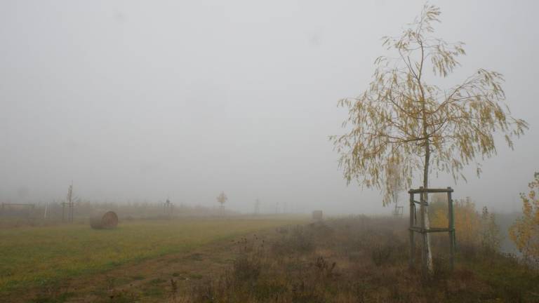 foto10