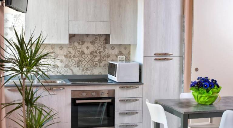 Serviced apartment with terrace — photo 5