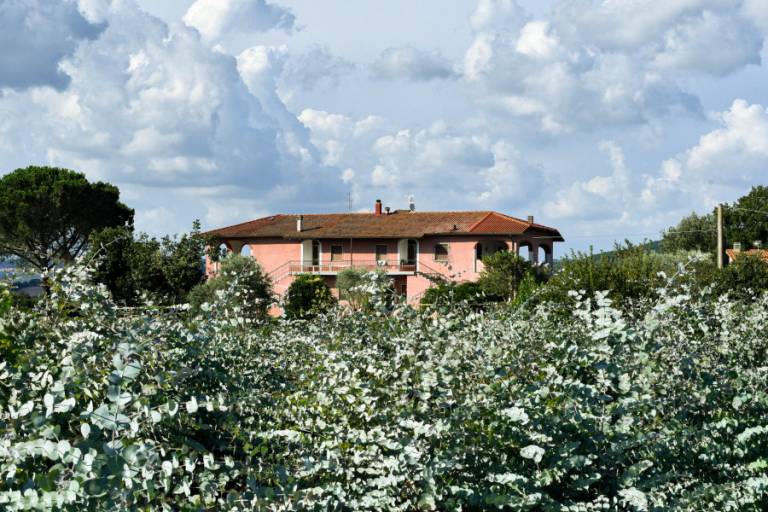 Privatzimmer Capalbio