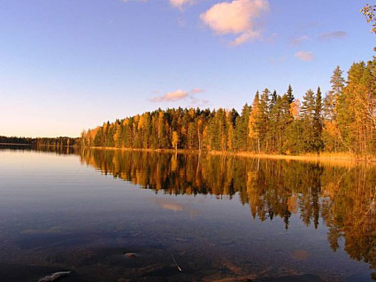 House with sauna | Nature view — photo 4
