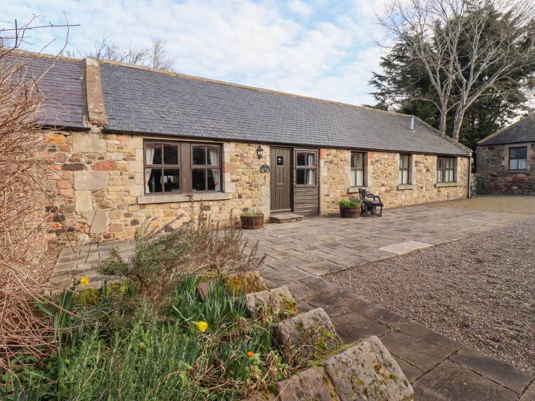 Cottage Wooler