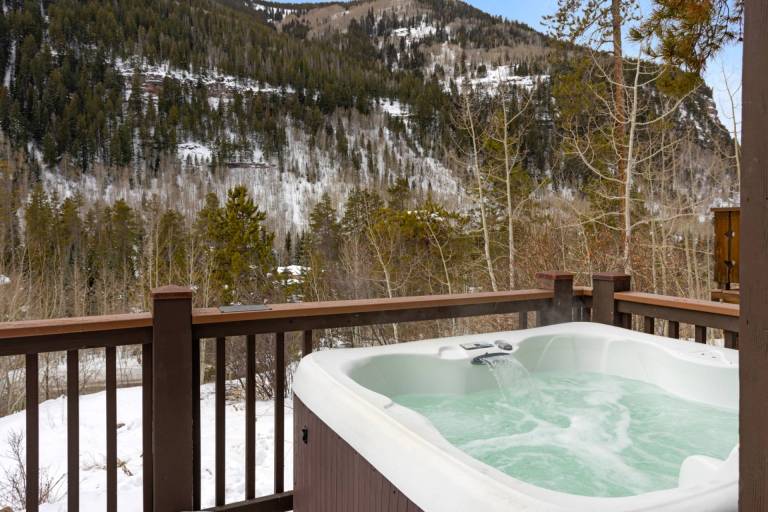 Chalet Vail