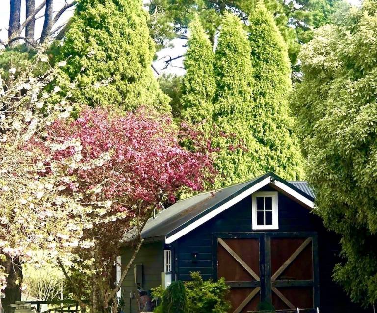 Cottage Moss Vale