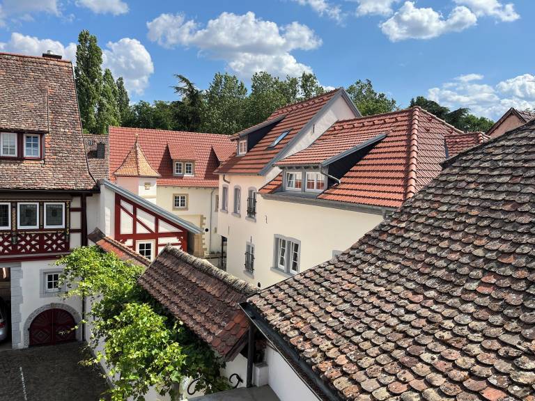 Ferienwohnung Freinsheim