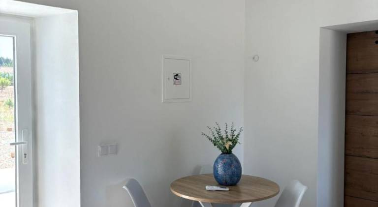House | Dogs allowed — photo 4