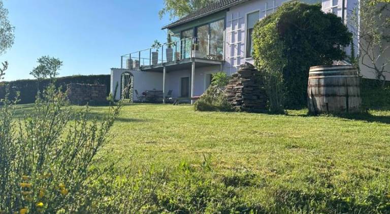 Nice holiday apartment | Pets are welcome in Euskirchen