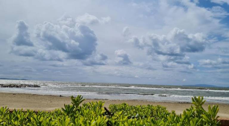 Pleasant holiday apartment | Close to the beach | Pets allowed — photo 5