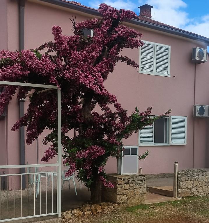 Ferienhaus in Mirca, Sutivan f&uuml;r max. 8 Personen