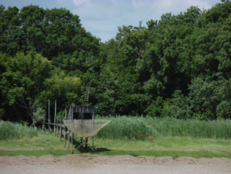foto19