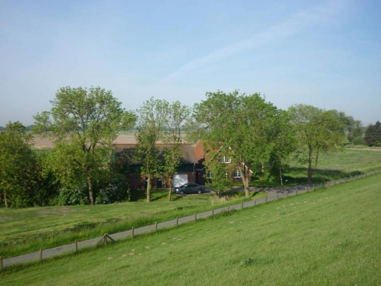 foto14