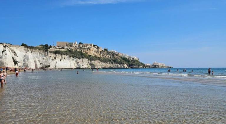 Rental apartment with 1 room for 4 persons in Vieste