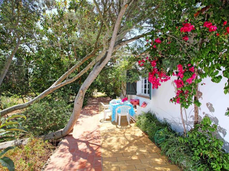 Nice vacation home with barbecue | Pets are welcome — photo 5
