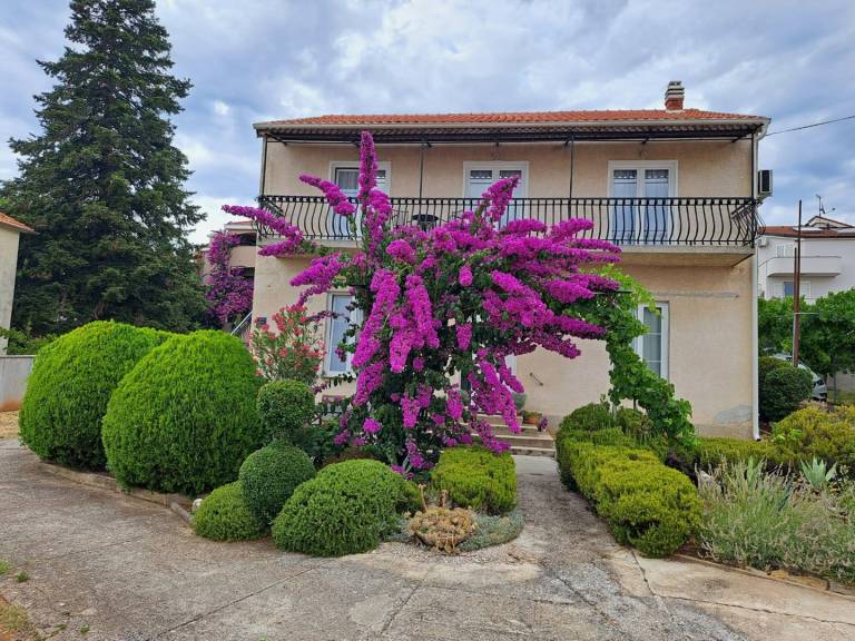 Charming holiday apartment with grill, garden & terrace | Beach nearby | Dogs allowed — photo 4