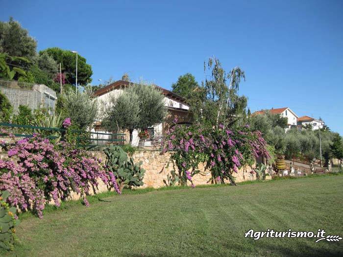 Agriturismo Peter Pan: Hook — photo 4