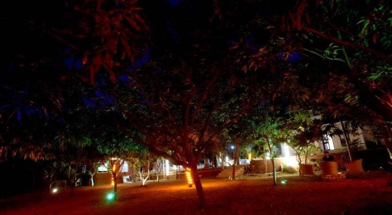 foto38