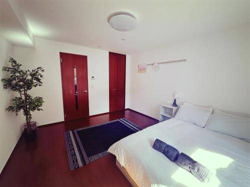 foto11