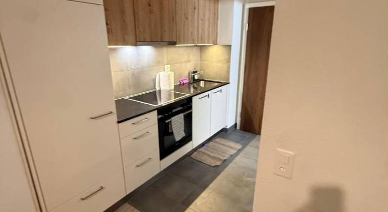 Beautiful holiday apartment | Dogs allowed in Lausanne