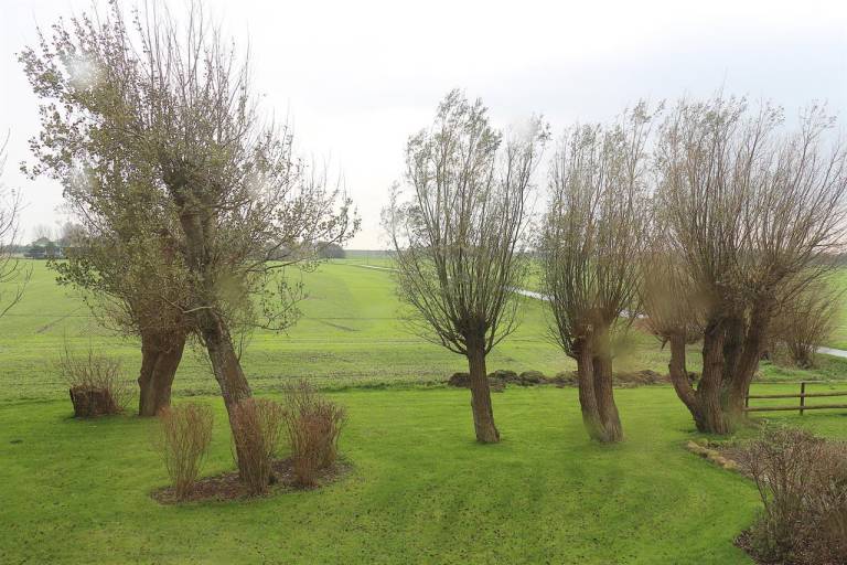 foto12