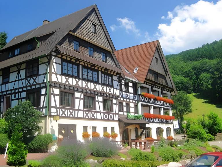 RelaxHotel Tannenhof in Seebach