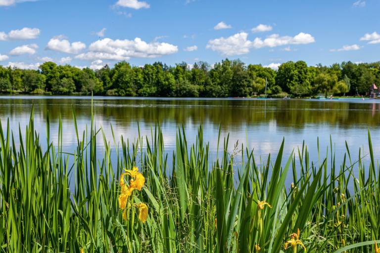 Ferienwohnung  Bad Waldsee