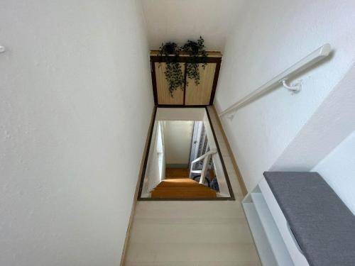 foto4